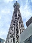 IMG_7843