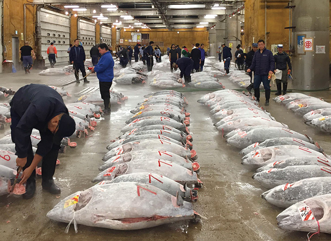 Tsukiji wonderland2