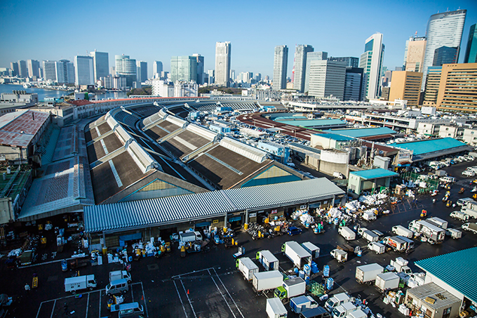 Tsukiji wonderland3
